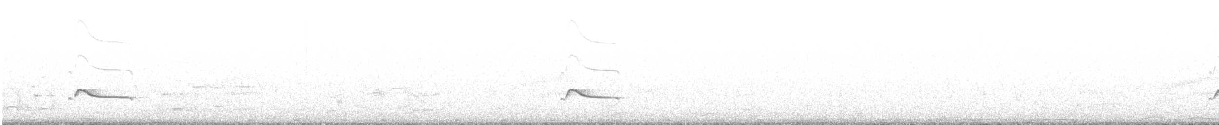 Say's Phoebe - ML224849181