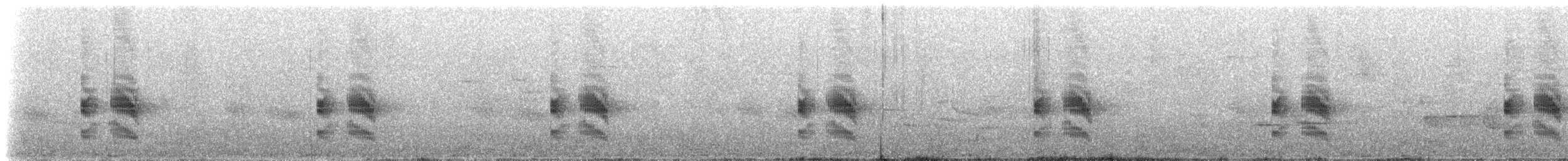 White-browed Tapaculo - ML224851