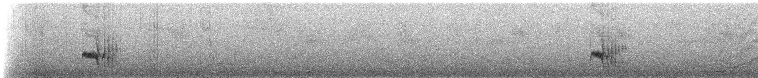 Euler's Flycatcher - ML224852