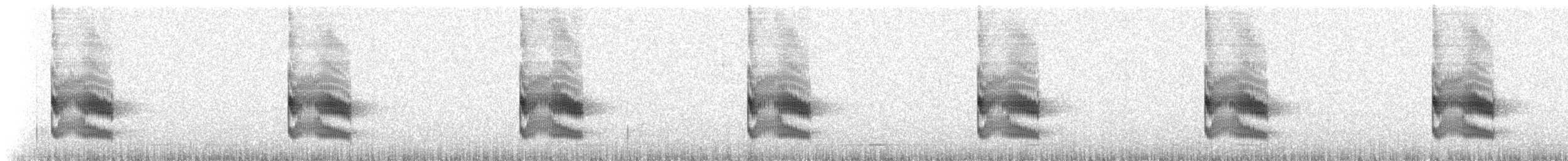 White-browed Tapaculo - ML224856