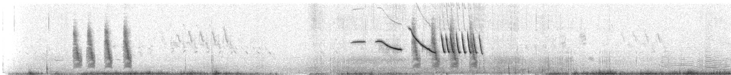 Troglodyte de Latham (tucumanus) - ML224858