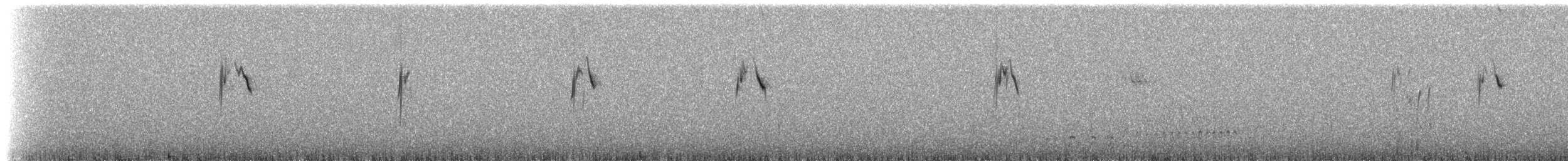 Paramo Pipit - ML224867