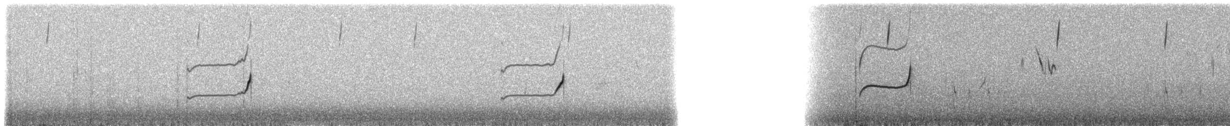 Scribble-tailed Canastero - ML224868