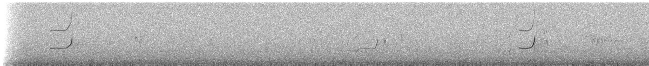 Scribble-tailed Canastero - ML224870