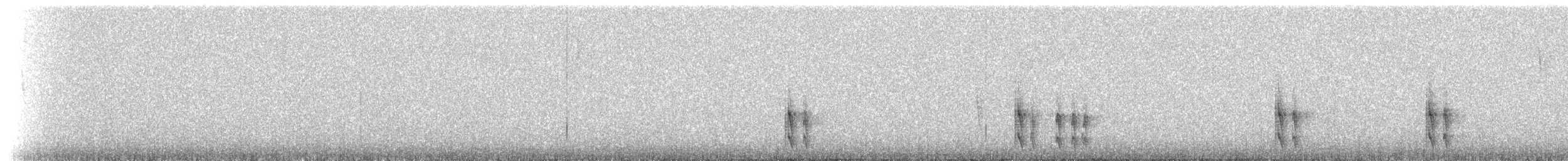 Zimmer's Tapaculo - ML224874