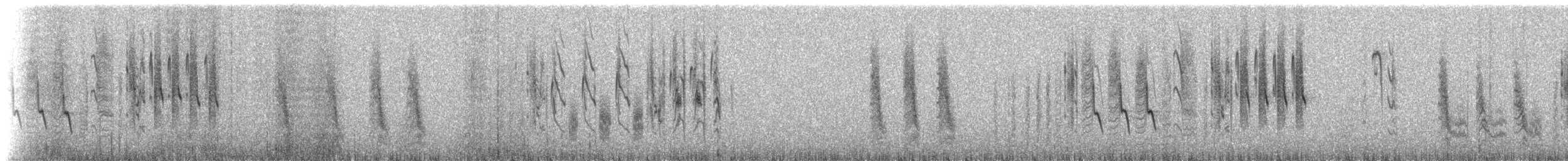 Grass Wren (Tucuman) - ML224876