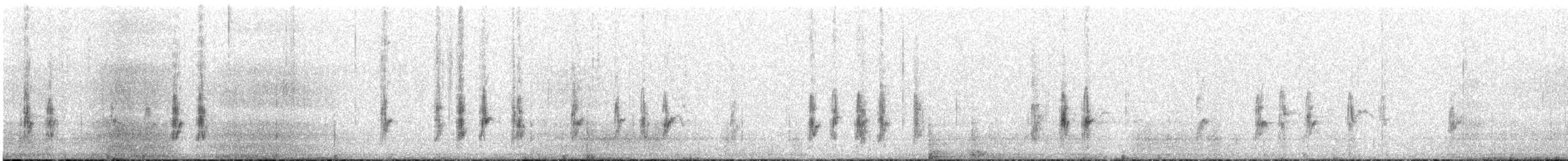 Schwarzstirn-Schneegimpel (littoralis) - ML224879361