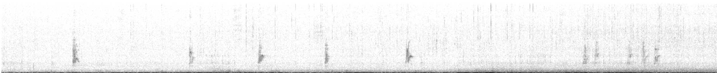 Schwarzstirn-Schneegimpel [tephrocotis-Gruppe] - ML224880121