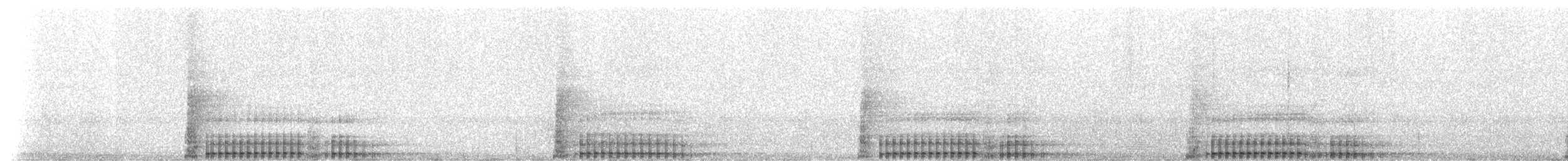 Mantled Guereza - ML224895