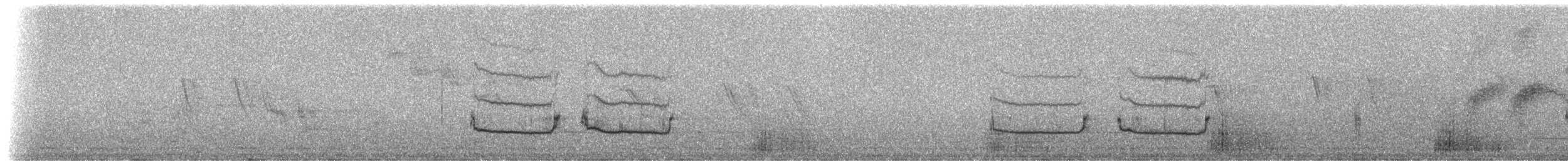 Northern Fiscal - ML224899