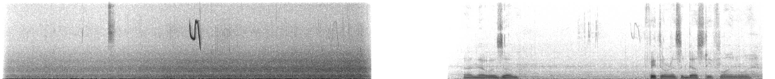 Серобрюхий колибри-отшельник - ML224952