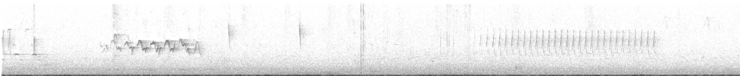 キヅタアメリカムシクイ（coronata） - ML224974051