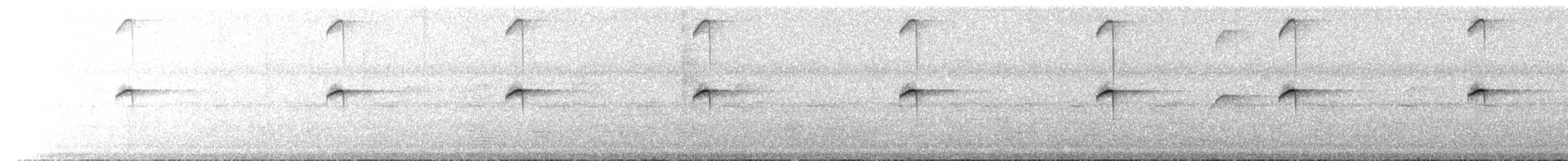 Colibri corinne - ML224976