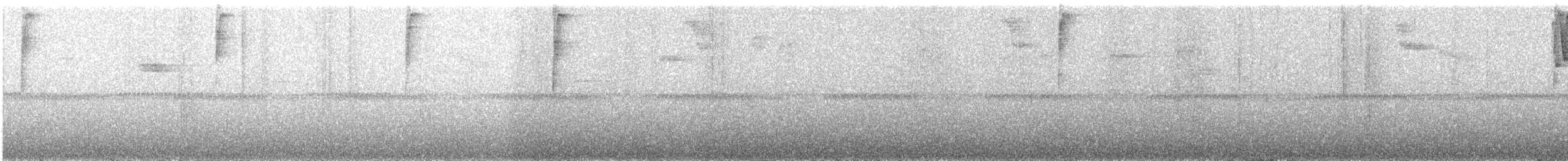 Ashy-throated Chlorospingus - ML224979011