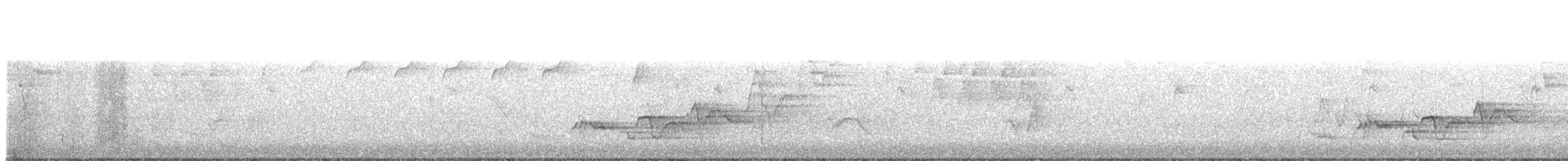 Swainson's Thrush - ML224984511