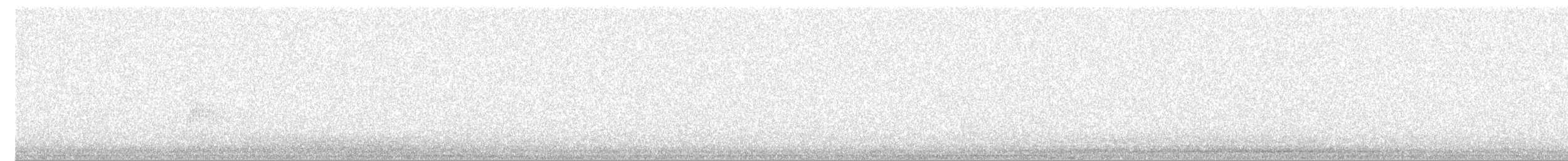 Baillon's Crake (Western) - ML225024491