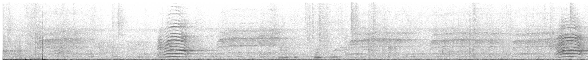 Malabar Gray Hornbill - ML225143401
