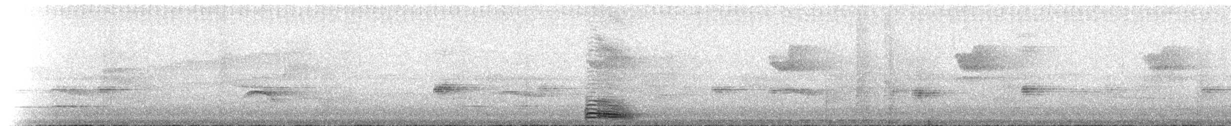 Broad-billed Motmot (Broad-billed) - ML225152