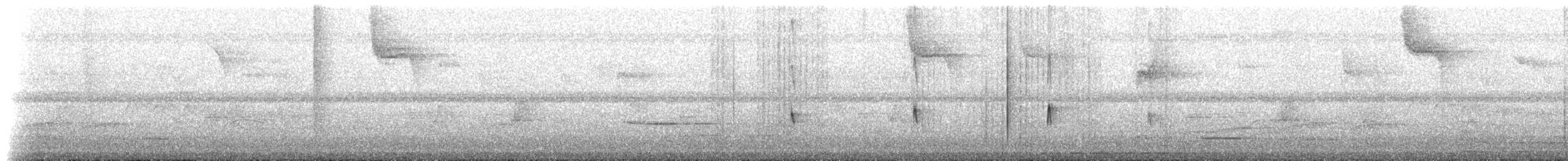 new world flycatcher sp. - ML225154