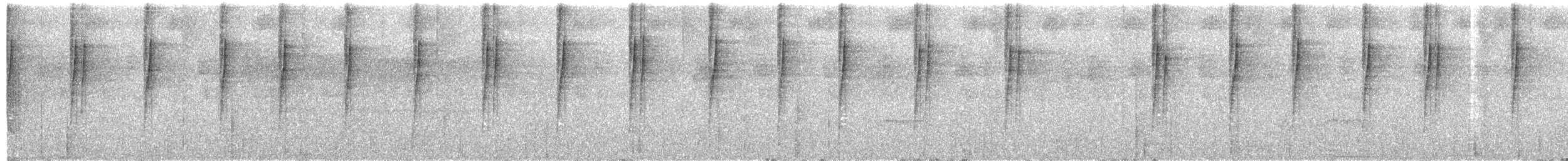 Langschwanzsylphe - ML225154221