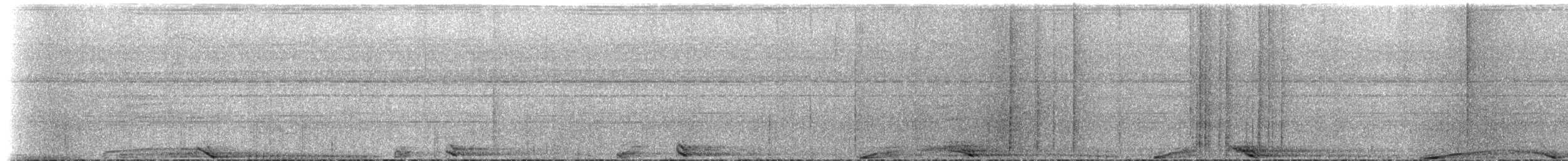 婆羅洲猩猩 - ML225155