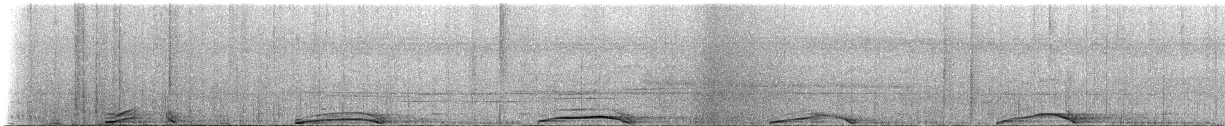 婆羅洲猩猩 - ML225156