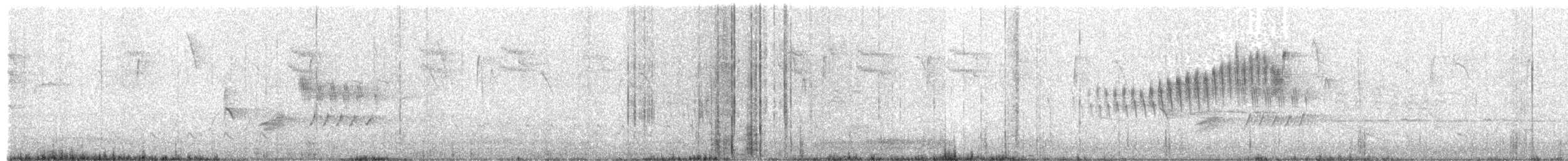 Northern Parula - ML225165281