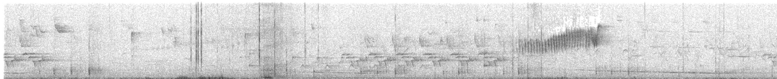 Northern Parula - ML225165321