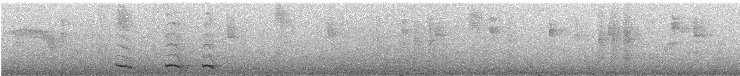Trogon rosalba (aurantiiventris/underwoodi) - ML225168881