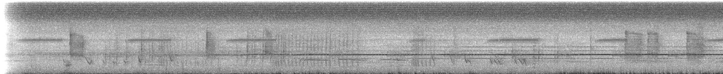 Short-tailed Babbler - ML225170