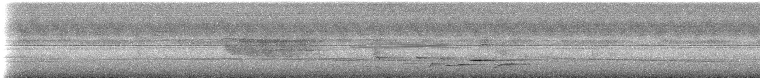 白腰鵲鴝(malabaricus群) - ML225171