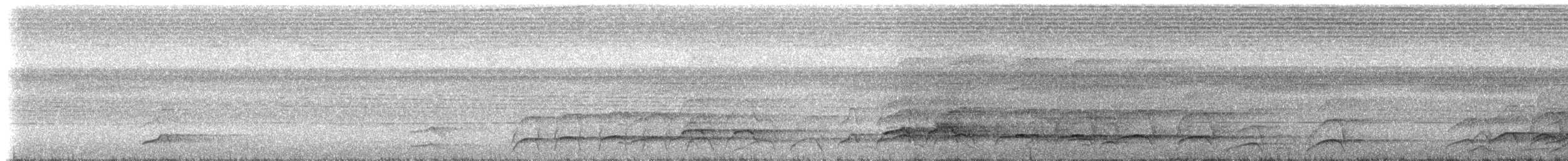 Bushy-crested Hornbill - ML225172