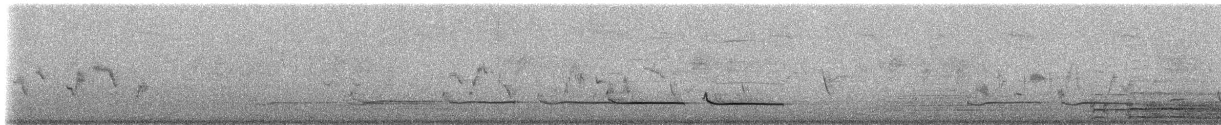 Northern Fiscal - ML225181