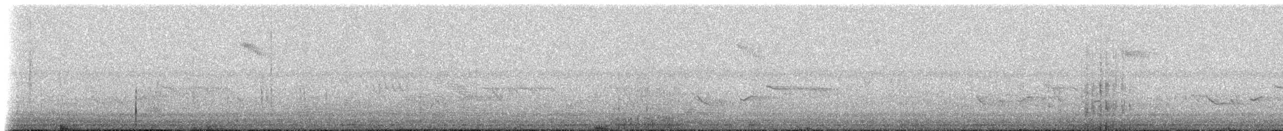 Grévy's Zebra - ML225184