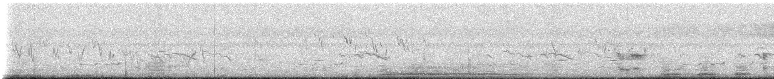 Grévy's Zebra - ML225185