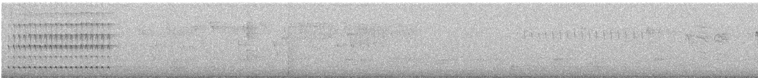 Northern Pygmy-Owl (Pacific) - ML225186