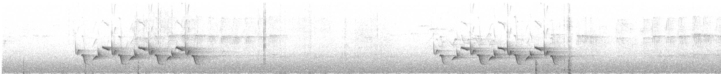 Karolina Çıtkuşu - ML225200751