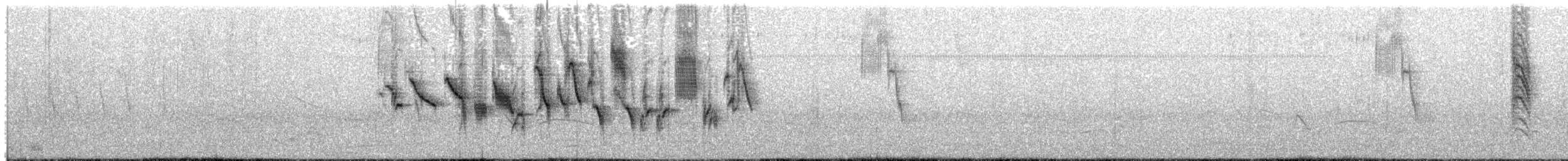 Çift Halkalı Tohumcul - ML22524051