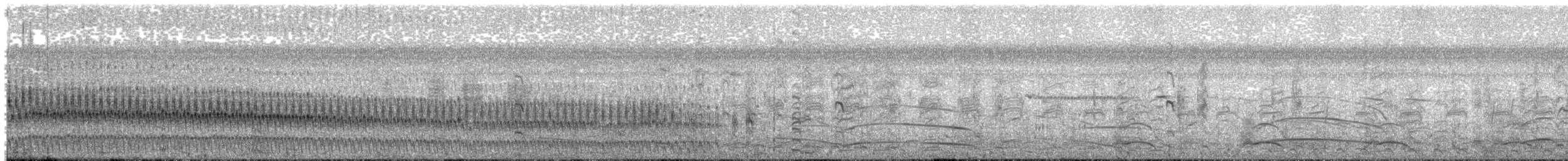 Kızıl Böğürlü Yelve - ML22524071