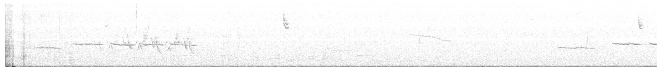 strnadec bělohrdlý - ML225279781