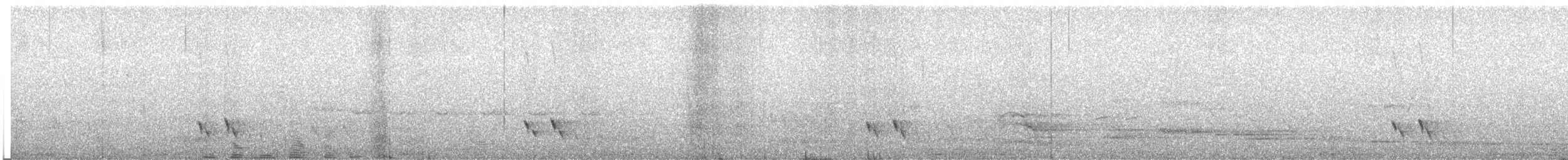 Çizgili Panterkuşu - ML225284341