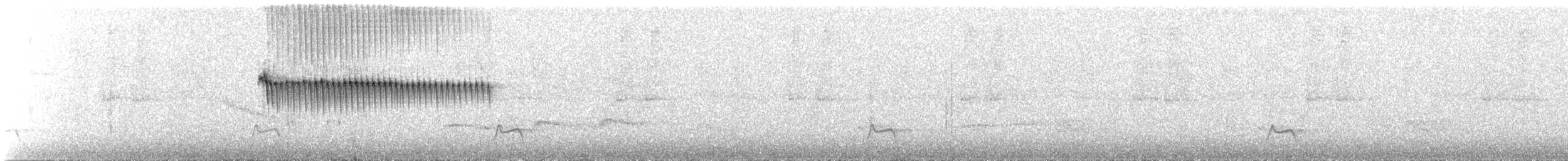 White-sided Flowerpiercer - ML225403551