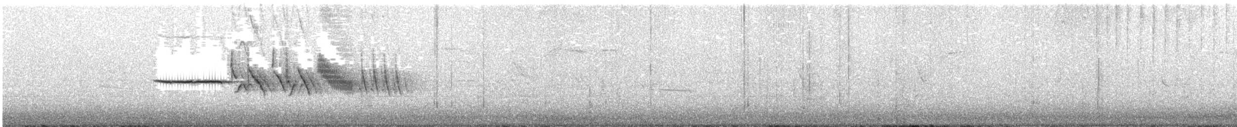 Bruant à couronne blanche (nuttalli/pugetensis) - ML225417921