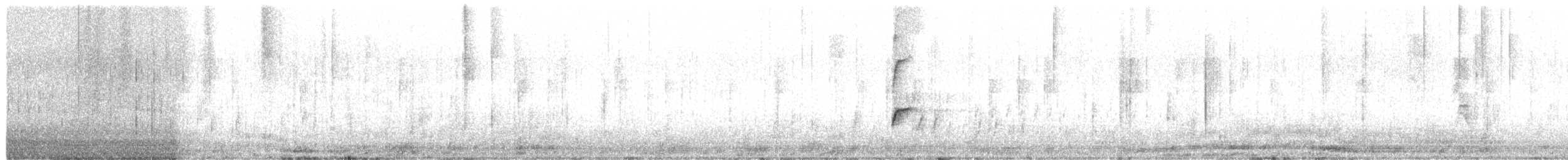 shorebird sp. - ML225457651