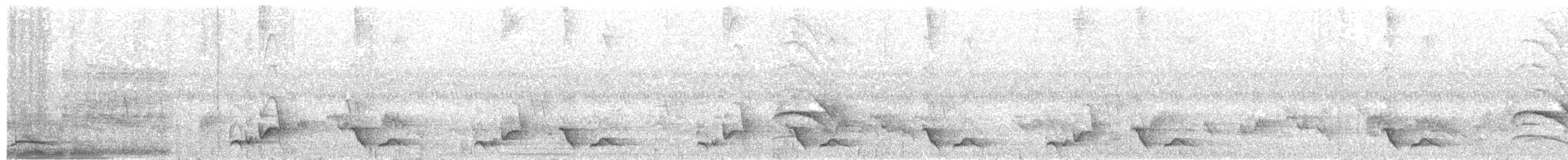 Red-billed Scimitar-Babbler - ML225541471