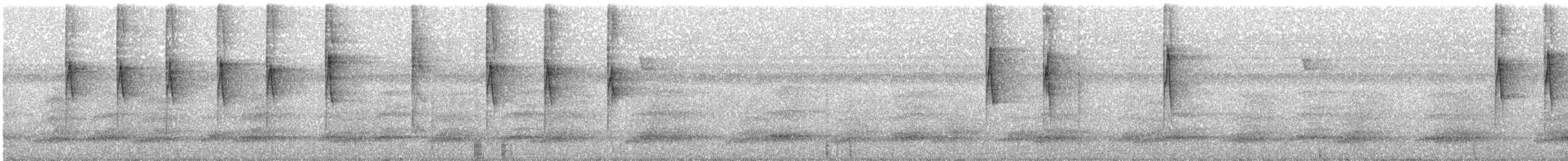Ariane à ventre gris (groupe tzacatl) - ML225557701
