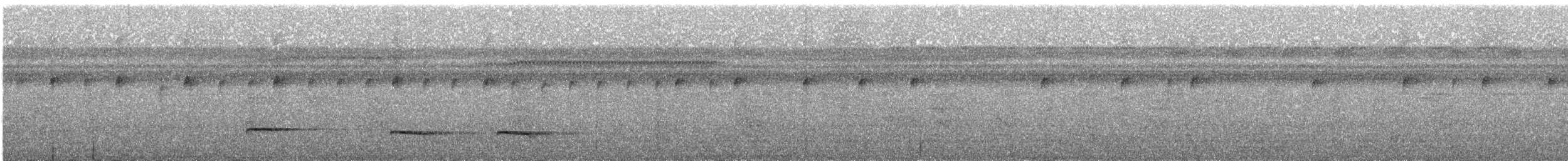 Graubrust-Ameisendrossel [hoffmanni-Gruppe] - ML225559831