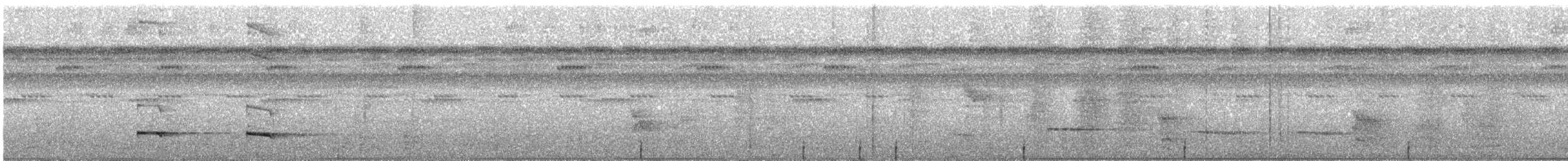 Graubrust-Ameisendrossel [hoffmanni-Gruppe] - ML225559871