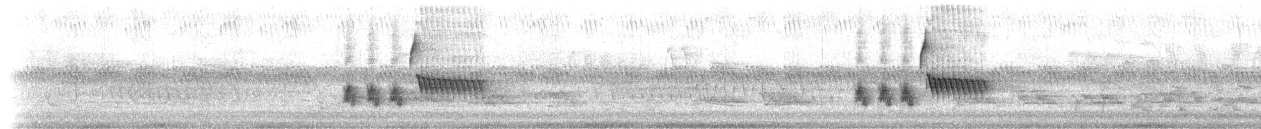 Пятнистый x Красноглазый тохи (гибрид) - ML225569