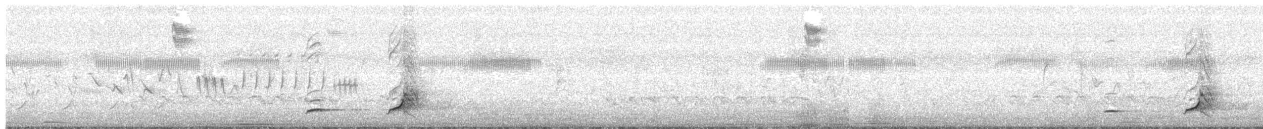 Colín de Virginia - ML225666331